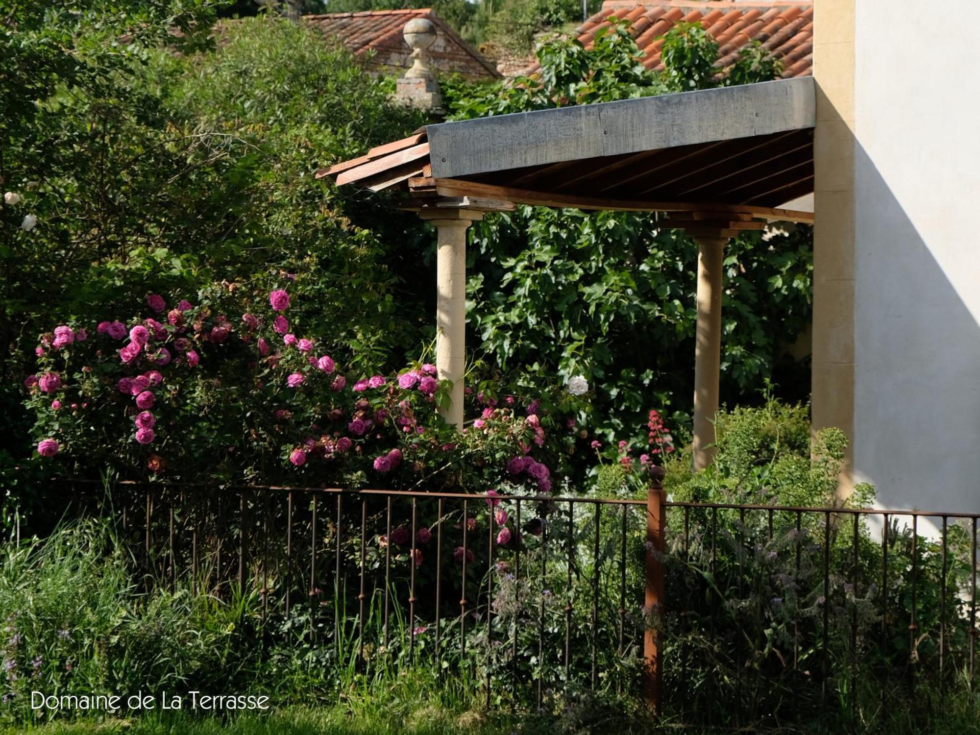 CarbonneDomaine De La Terrasse公寓 外观 照片