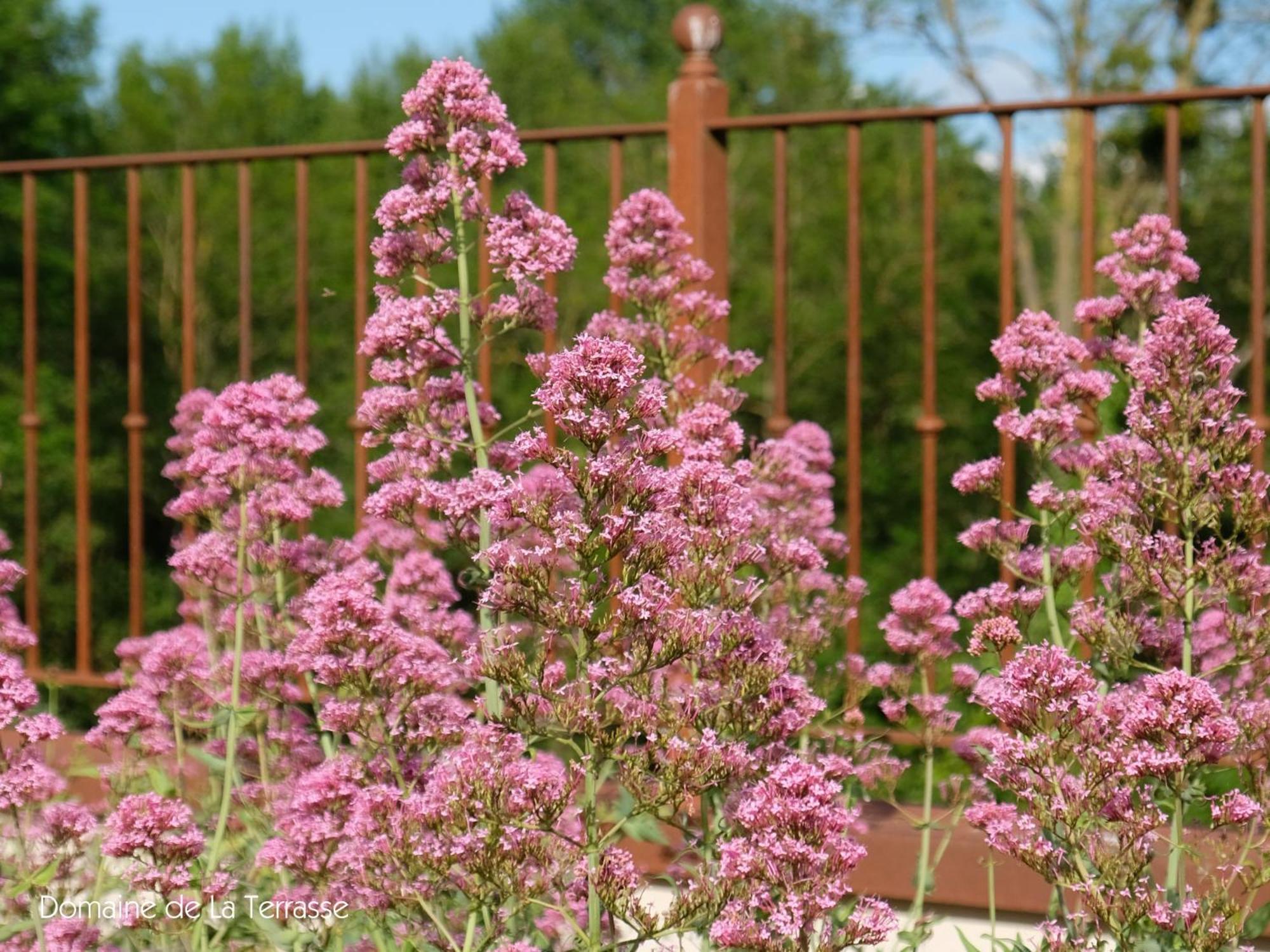 CarbonneDomaine De La Terrasse公寓 外观 照片