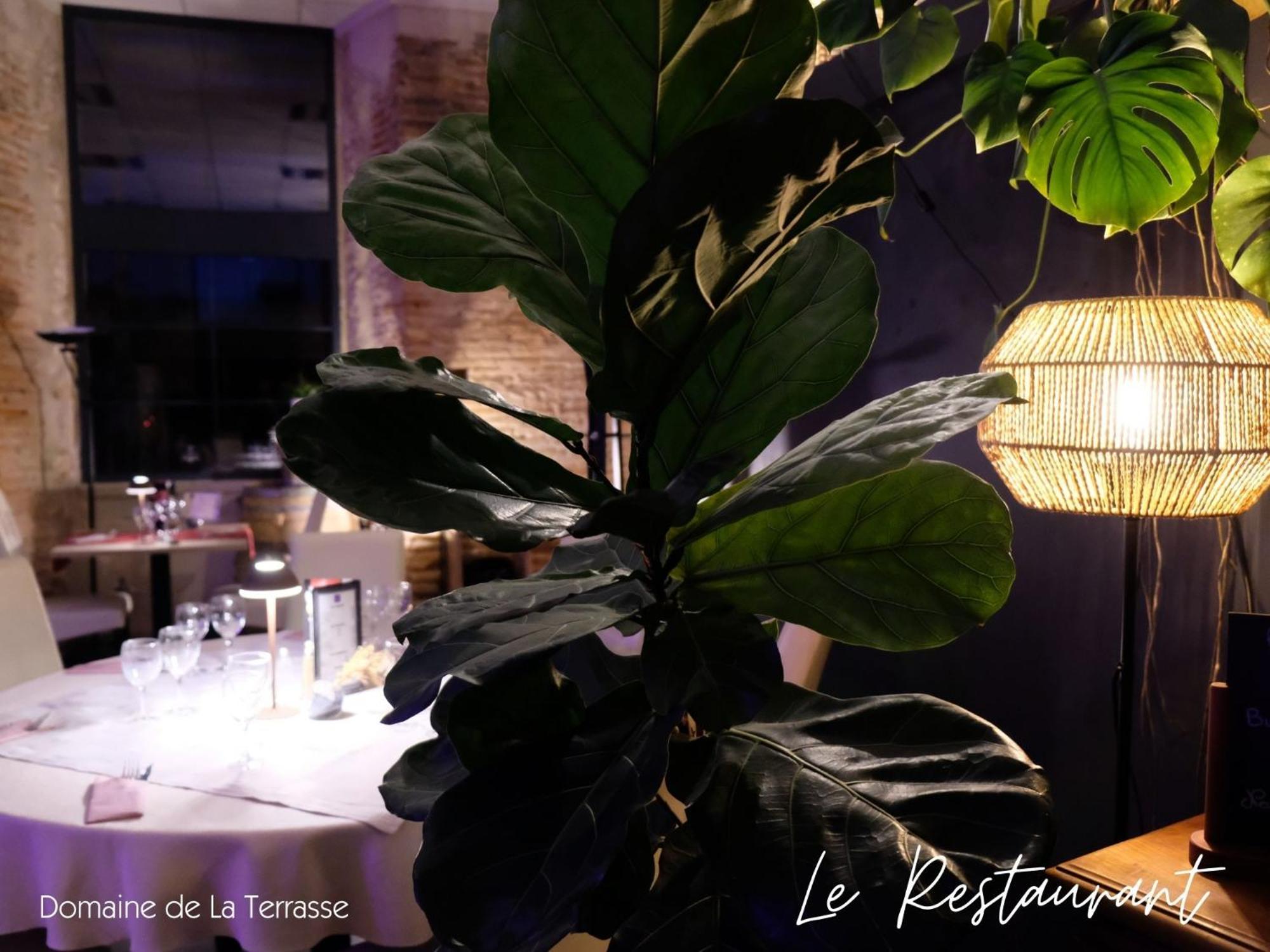 CarbonneDomaine De La Terrasse公寓 外观 照片